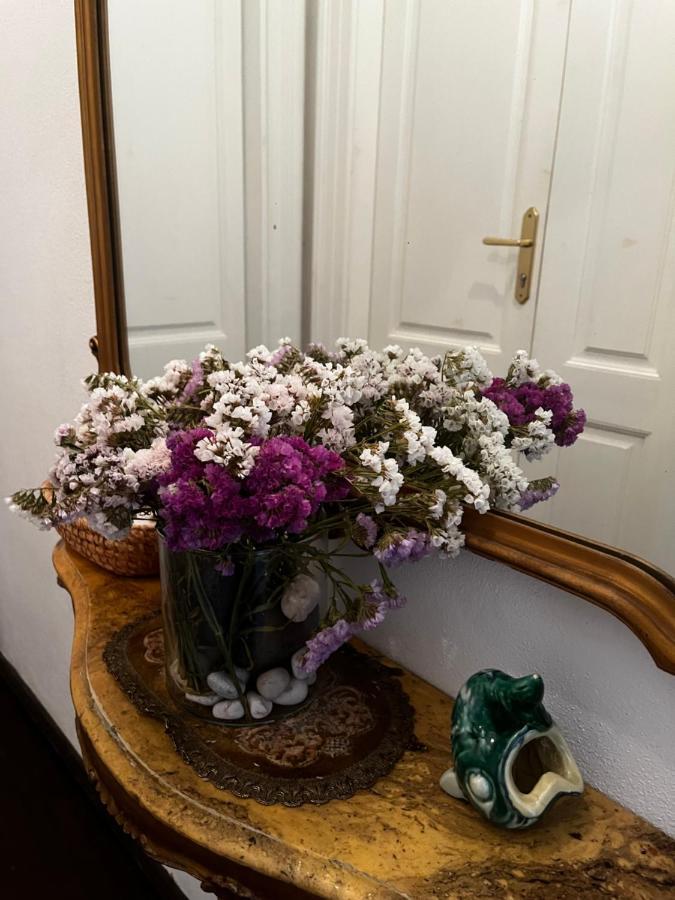 Apartment Hisa 7 Пиран Экстерьер фото